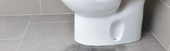 ▷Ways To Prevent Leak In The Toilet In Coronado Ca