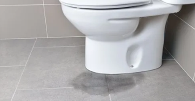 Ways To Prevent Leak In The Toilet In Coronado Ca
